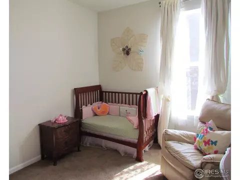16663 Trinity Loop, Broomfield, CO 80023 photo 14
