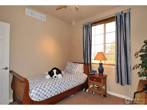 544 Botley Ct, Windsor, CO 80550 photo 14