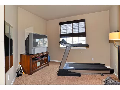 544 Botley Ct, Windsor, CO 80550 photo 15