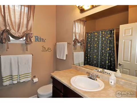 544 Botley Ct, Windsor, CO 80550 photo 16