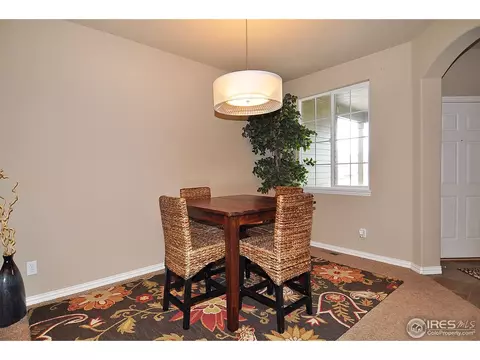 544 Botley Ct, Windsor, CO 80550 photo 12