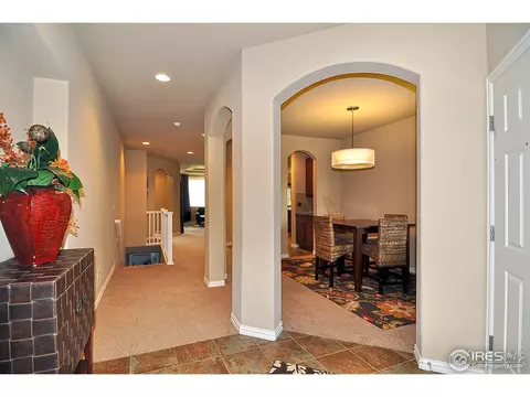 544 Botley Ct, Windsor, CO 80550 photo 11