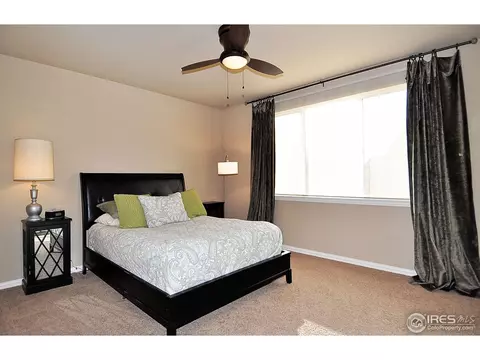 544 Botley Ct, Windsor, CO 80550 photo 8