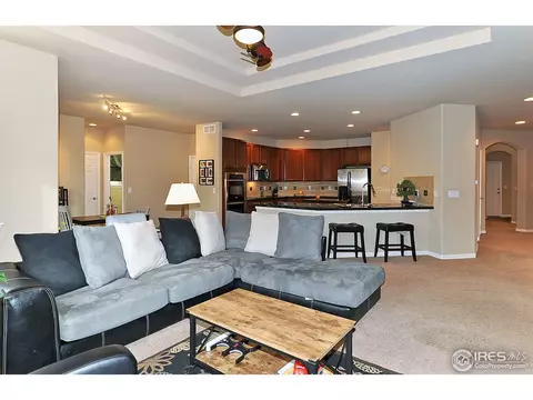 544 Botley Ct, Windsor, CO 80550 photo 6
