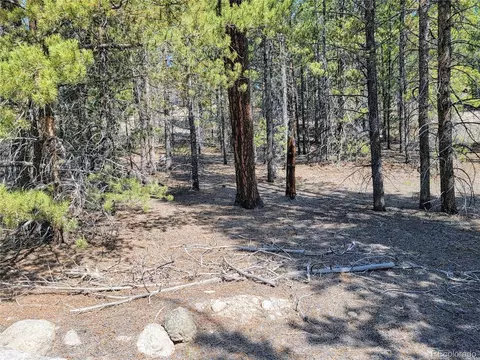 199 Birch Dr, Leadville, CO 80461