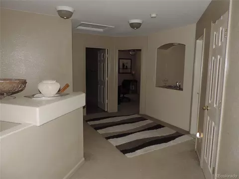 21024 E 49th Ave, Denver, CO 80249 photo 34