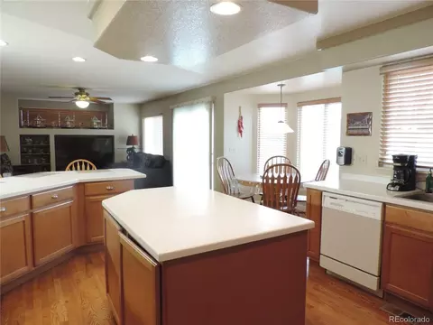 21024 E 49th Ave, Denver, CO 80249 photo 11