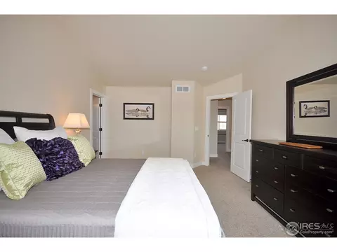 5357 School House Dr, Timnath, CO 80547 photo 20