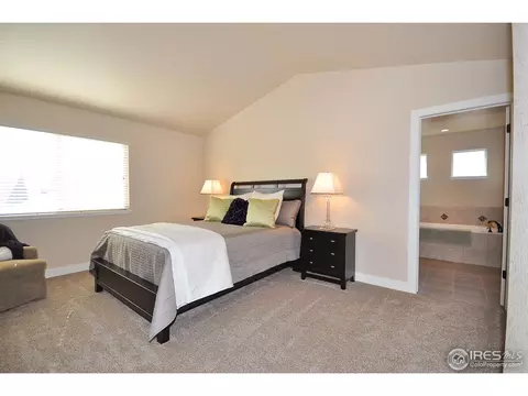 5357 School House Dr, Timnath, CO 80547 photo 19