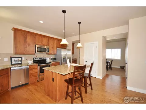 5357 School House Dr, Timnath, CO 80547 photo 10