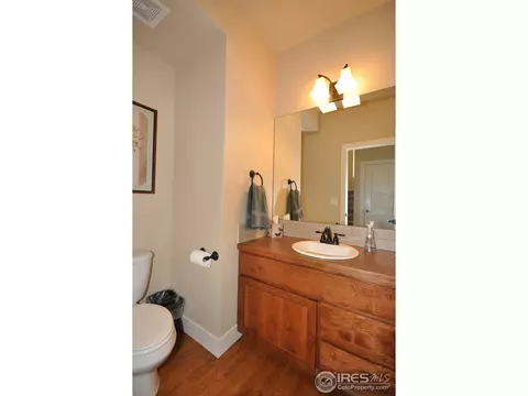 5357 School House Dr, Timnath, CO 80547 photo 15