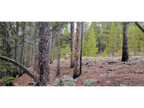 tbd Vista Rd, Idaho Springs, CO 80452