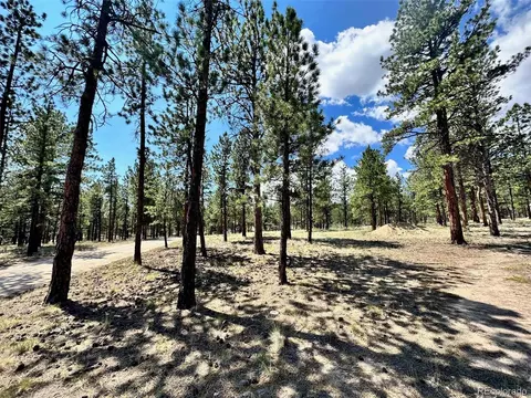 16035 Jay Bird Ln, Buena Vista, CO 81211