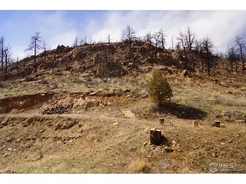 1273 Eiger Rd, Livermore, CO 80536 photo 2