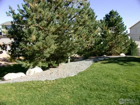 4937 Shenandoah Ave, Firestone, CO 80504 photo 22