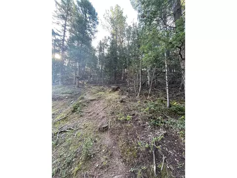 48 Kalispel Ln, Woodland Park, CO 80863