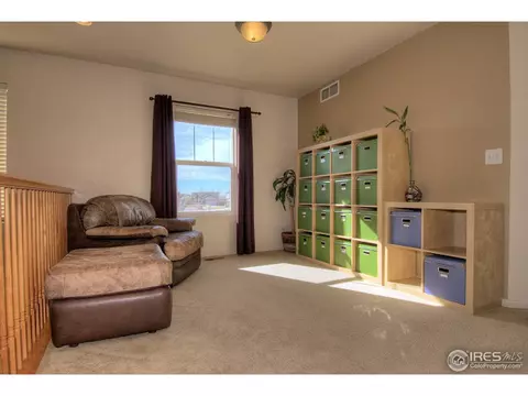 7252 Forest Dr, Frederick, CO 80504 photo 13