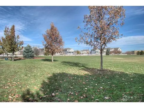 7252 Forest Dr, Frederick, CO 80504 photo 22