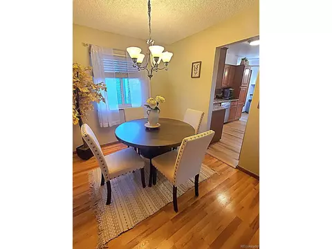 17469 E Asbury Cir, Aurora, CO 80013 photo 9