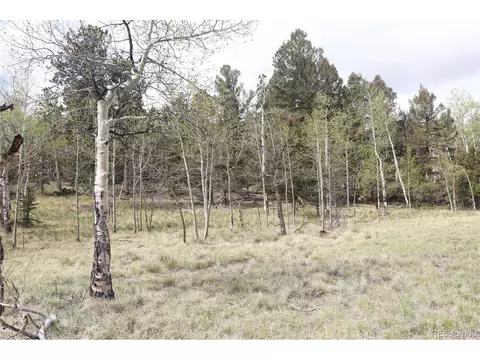 2235 Windmill Dr, Hartsel, CO 80449