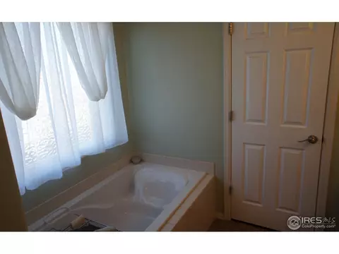306 Windflower Way, Severance, CO 80550 photo 14