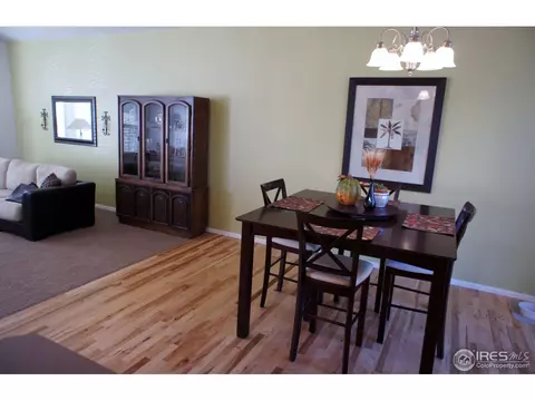 306 Windflower Way, Severance, CO 80550 photo 10