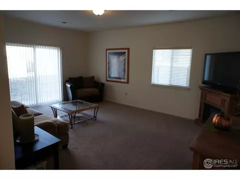 306 Windflower Way, Severance, CO 80550 photo 5