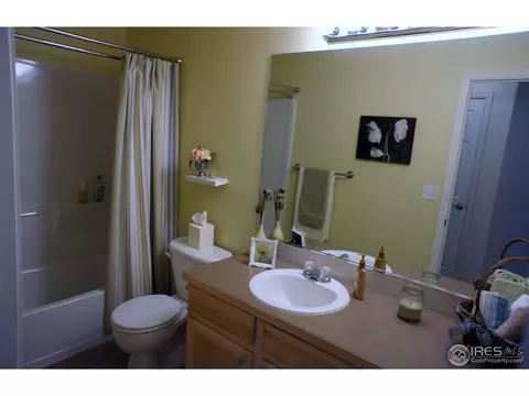306 Windflower Way, Severance, CO 80550 photo 19