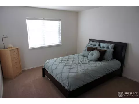 306 Windflower Way, Severance, CO 80550 photo 17