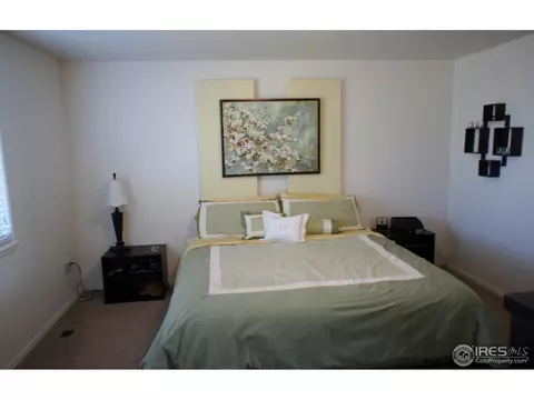 306 Windflower Way, Severance, CO 80550 photo 12