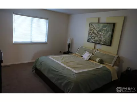 306 Windflower Way, Severance, CO 80550 photo 11