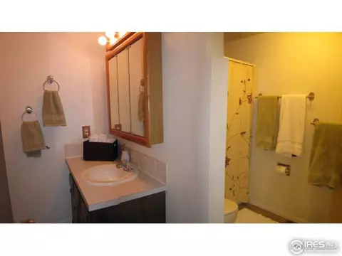 704 Eldora Pl, Longmont, CO 80504 photo 9