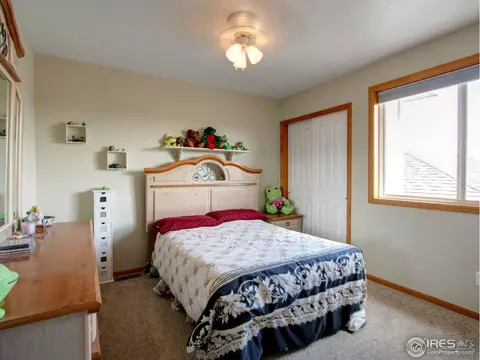 9260 E 155th Dr, Brighton, CO 80602 photo 11