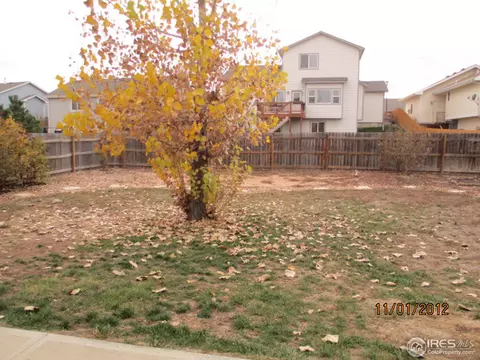 859 Cliffrose Way, Severance, CO 80550 photo 5