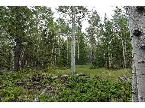 205 Timberline Dr, Guffey, CO 80820
