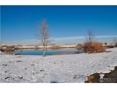 572 S Traildust Dr, Milliken, CO 80543 photo 19