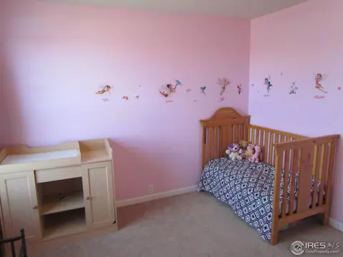 2853 Trinity Loop, Broomfield, CO 80023 photo 9
