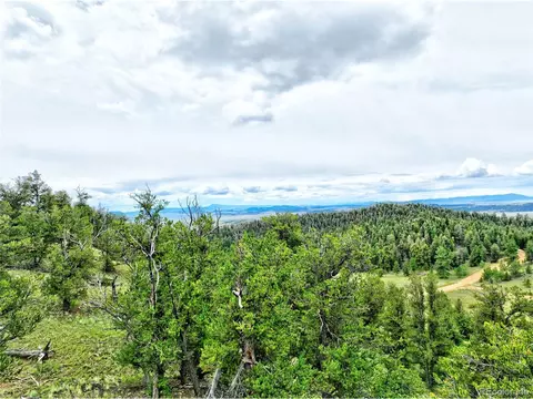 861 Summit Rd, Hartsel, CO 80449 photo 2
