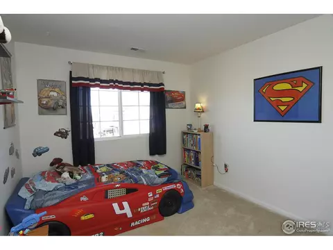 2540 E 136th Pl, Thornton, CO 80602 photo 22