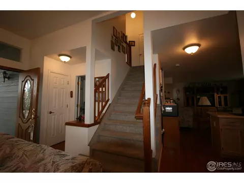 1010 E 131st Dr, Thornton, CO 80241 photo 3