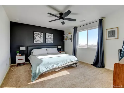 7252 Fall River Cir, Frederick, CO 80530 photo 20