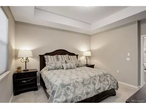 9421 E 58th Ave, Denver, CO 80238 photo 20