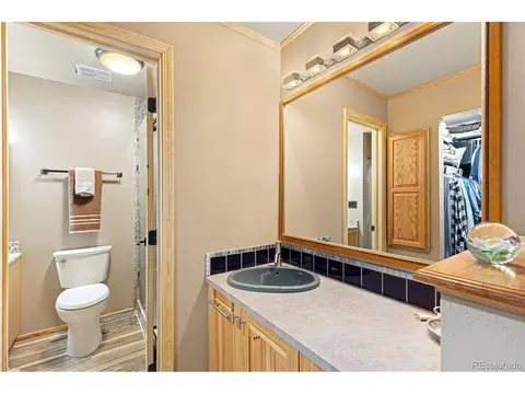 4310 E 115th Pl, Thornton, CO 80233 photo 21