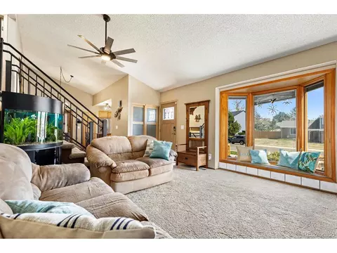 4310 E 115th Pl, Thornton, CO 80233 photo 10