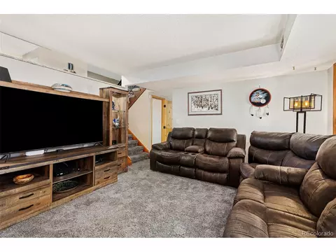4310 E 115th Pl, Thornton, CO 80233 photo 23