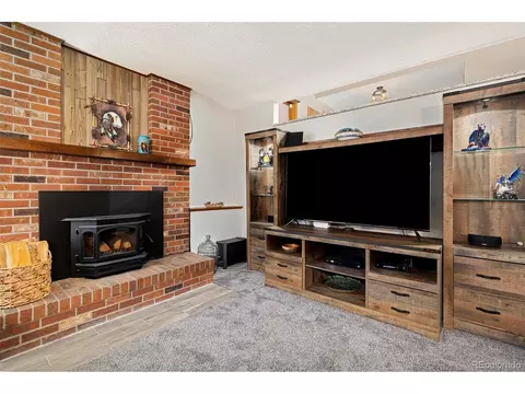 4310 E 115th Pl, Thornton, CO 80233 photo 24