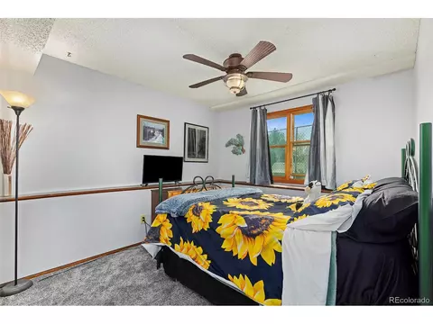 4310 E 115th Pl, Thornton, CO 80233 photo 25