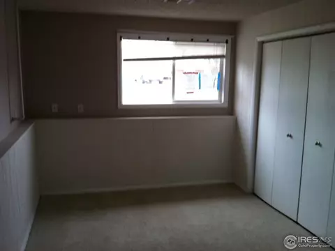 580 Sycamore Dr, Windsor, CO 80550 photo 10