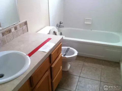 580 Sycamore Dr, Windsor, CO 80550 photo 12