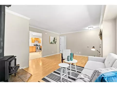 216 Nero Rd, Black Hawk, CO 80422 photo 6